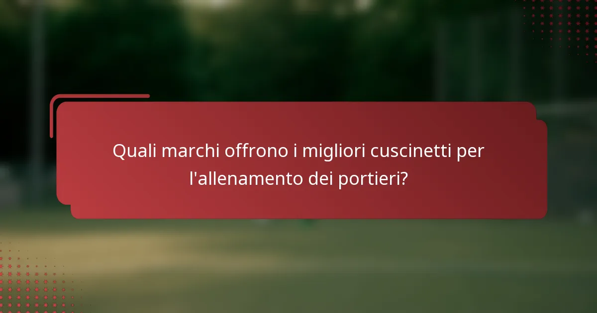 Quali marchi offrono i migliori cuscinetti per l'allenamento dei portieri?