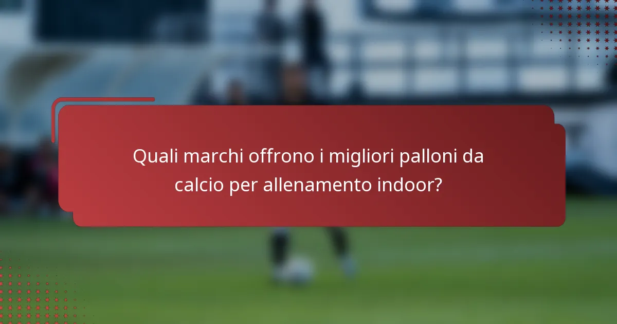 Quali marchi offrono i migliori palloni da calcio per allenamento indoor?