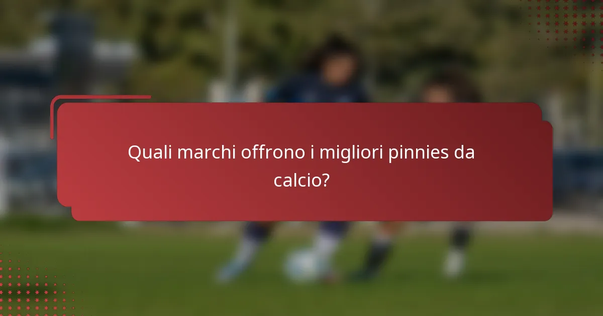 Quali marchi offrono i migliori pinnies da calcio?