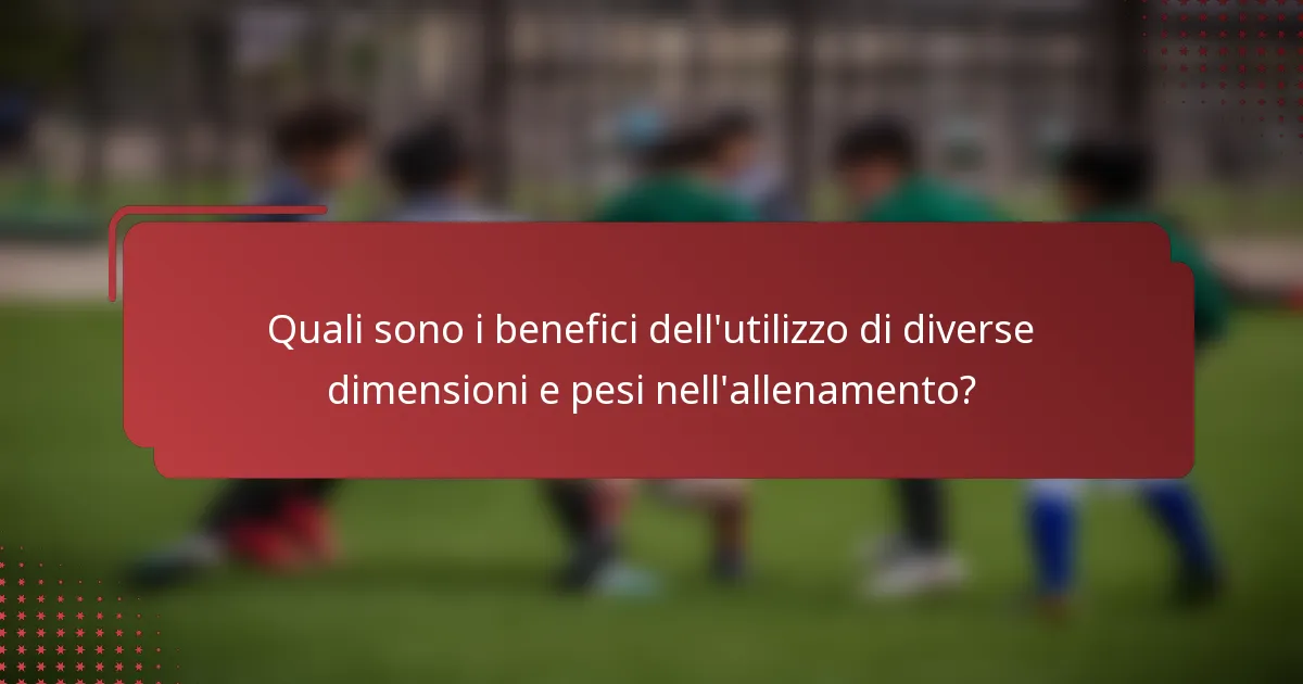 Quali sono i benefici dell'utilizzo di diverse dimensioni e pesi nell'allenamento?