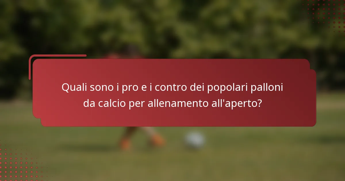 Quali sono i pro e i contro dei popolari palloni da calcio per allenamento all'aperto?